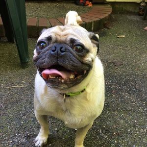 Meet your Posher, Kennidi